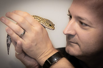 About the Author: H. Evan Miller & Leopard Gecko